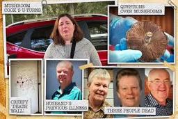 قتل اعضای خانواده شوهر با قارچ سمی 