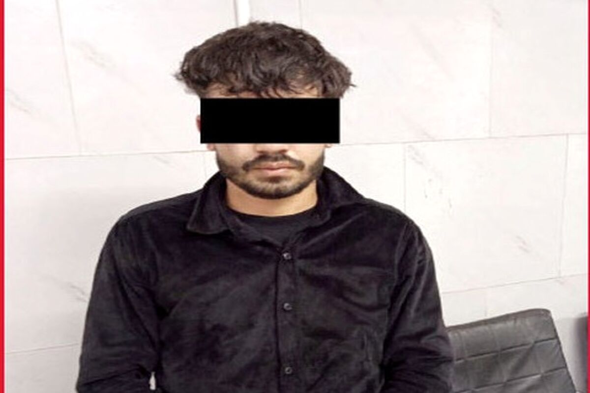 ۶۰ گوشی قاپی طی ۳ماه بعد از آزادی