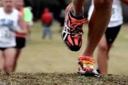 اتهام تجاوز جنسی به ورزشکاران ایران؛ پلیس کره جنوبی دو دونده و یک مربی ایرانی را دستگیر کرد