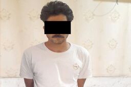 «مترسک آهنی»دزد ازآب درآمد!