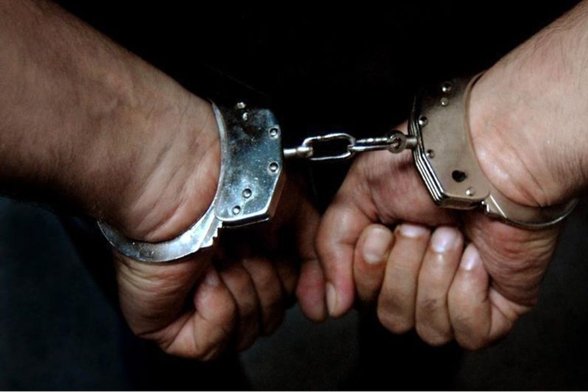 ۱۷ مجرم خطرناک در پارس آباد بازداشت شدند