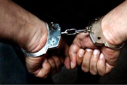 ۱۷ مجرم خطرناک در پارس آباد بازداشت شدند
