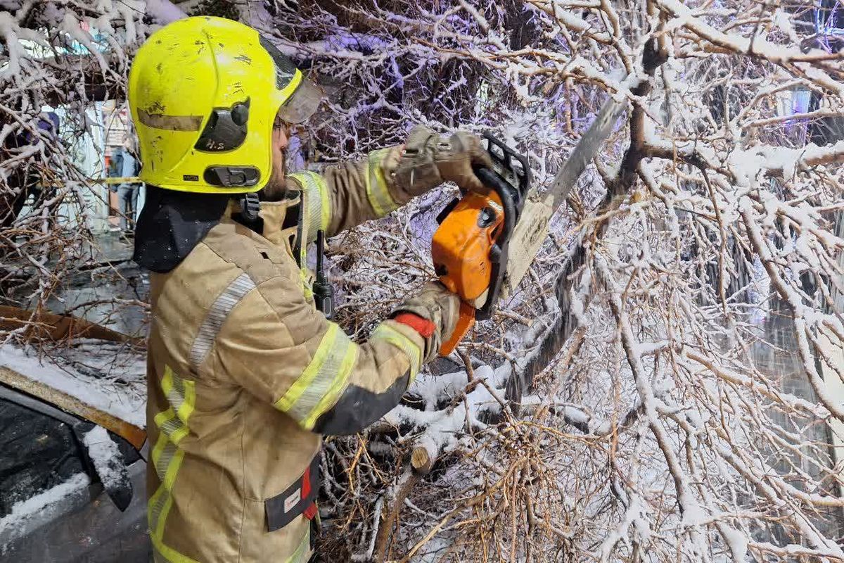 سقوط درخت تنومند بر روی دو خودرو در خیابان مطهری شمالی مشهد
