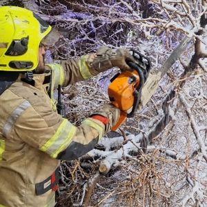 سقوط درخت تنومند بر روی دو خودرو در خیابان مطهری شمالی مشهد