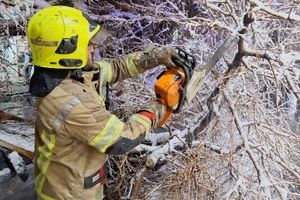 سقوط درخت تنومند بر روی دو خودرو در خیابان مطهری شمالی مشهد