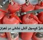 شارژ کپسول آتش نشانی در زمان جنگ