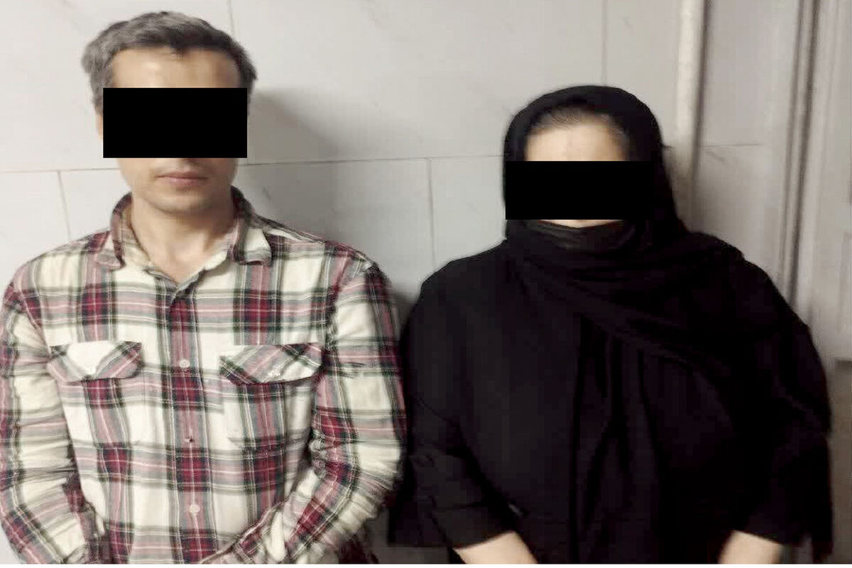 نقشه دستبرد نقاش به اموال باغ ویلا !