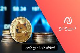 آموزش خرید دوج کوین از نیپوتو