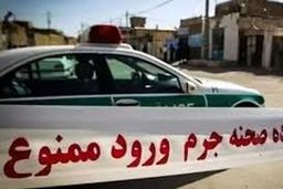 ماجرای قتل علیرضا محمدی با تصادف عمدی؛ سوءقصد به ۴۱ وکیل طی ۴ سال