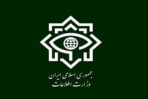 شناسایی و دستگیری ۳۰ تن از جاسوسان، مزدوران عملیاتی و رسانه‌ای مرتبط با دشمن آمریکایی صهیونیستی 