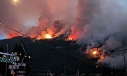بازداشت ۴۲۰ نفر به اتهام ایجاد آتش‌سوزی‌ در فرانسه/ ویدئو