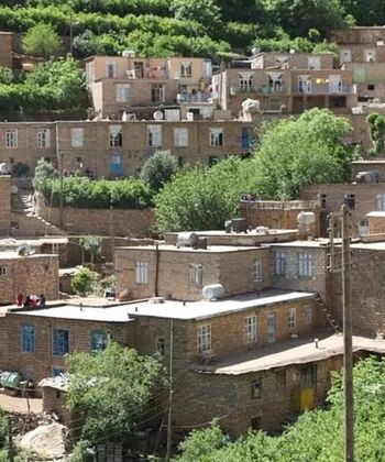 عجیب ترین مرگ ها در این روستای ایران/ 4 عضو خانواده سریالی در 3 حادثه جان باختند 