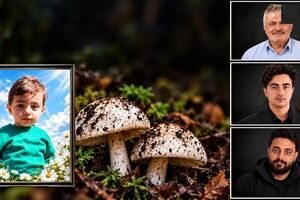 مرگ 4 عضو یک خانواده سمنانی به خاطر خوردن قارچ سمی