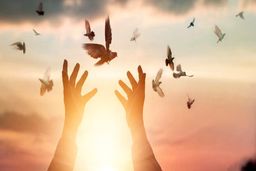 عفو یک زندانی محکوم به اعدام که ۹ جز قرآن را حفظ کرده بود