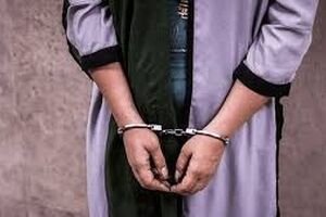 دستگیری خانم بلاگر اینستاگرامی به اتهام توهین به مردم شمال 