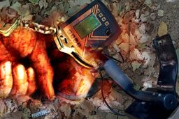 جویندگان گنج به دام افتادند