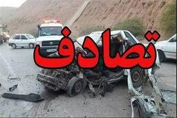 تصادف هولناک در مهاباد/ زیر گرفتن کارگر فضای سبز شهرداری توسط دختر 11 ساله پژوسوار/ ویدئو