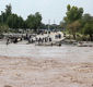 وقوع سیلاب اخیر در استان فارس تاکنون ۹ کشته برجا گذاشت
