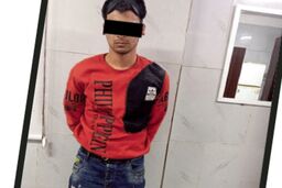 «بوقلمون های زورگیر» شکار شدند