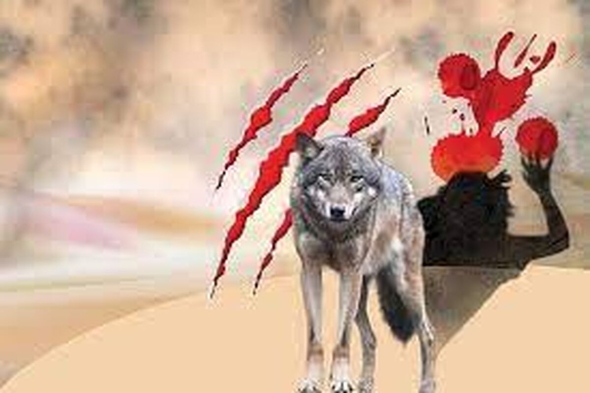 حمله خونین گرگ یا کفتار به 8 نفر در لرستان