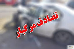 خودروی شوتی جان پدر و فرزند دو ساله را گرفت