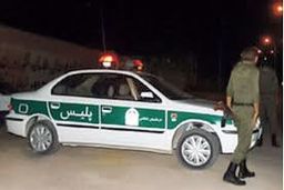 جنایت مخوف در گلخانه/ چه کسی مرد باغدار را کشت؟