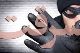 سرقت سینمایی طلافروشی در ترکیه: با لیفتراک آمد، با الاغ فرار کرد/ ویدئو
