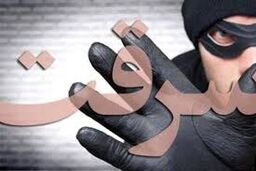 سرقت سینمایی طلافروشی در ترکیه: با لیفتراک آمد، با الاغ فرار کرد/ ویدئو