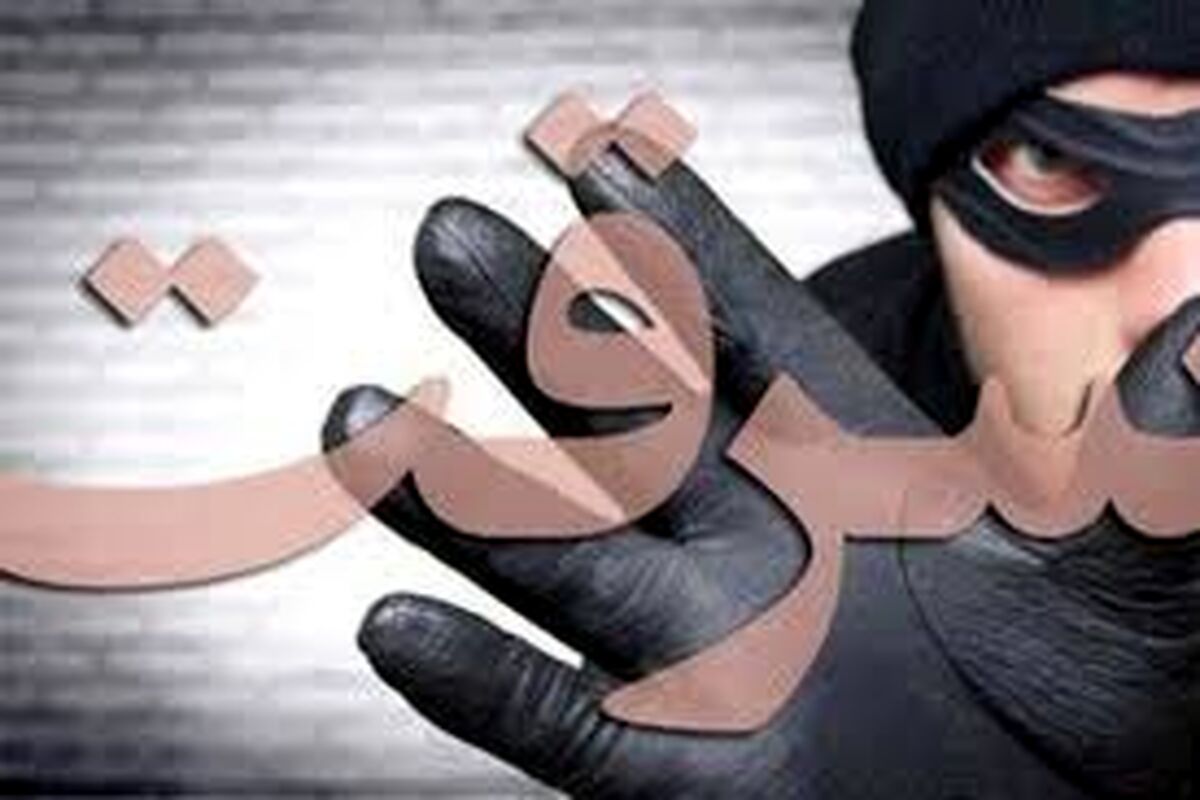 سرقت سینمایی طلافروشی در ترکیه: با لیفتراک آمد، با الاغ فرار کرد/ ویدئو