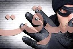 سرقت سینمایی طلافروشی در ترکیه: با لیفتراک آمد، با الاغ فرار کرد/ ویدئو