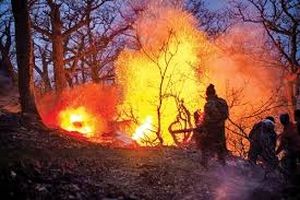 عامل آتش سوزی جنگل‌های هیرکانی در بابل دستگیر شد