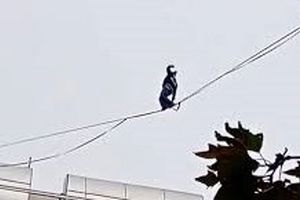 حرکت خطرناک دختر جوان روی سیم‌های بین ساختمان/ ویدئو