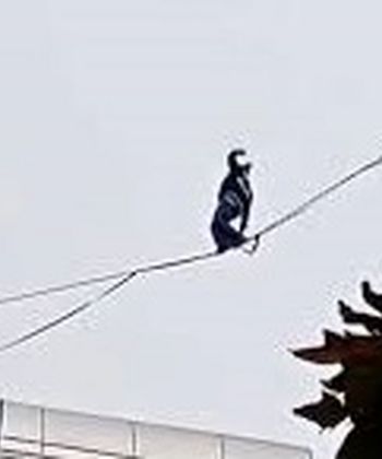 حرکت خطرناک دختر جوان روی سیم‌های بین ساختمان/ ویدئو