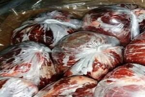 کشف یک تن و ۲۰۰ کیلوگرم گوشت اسب/ پلیس بیجار خبر داد