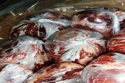 کشف یک تن و ۲۰۰ کیلوگرم گوشت اسب/ پلیس بیجار خبر داد
