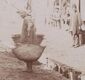 محاکمه پسری که پدر پیرش را کشت: عذاب وجدان دارم