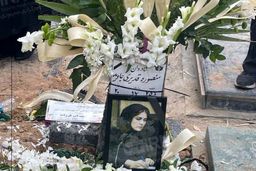 روایت خواهر خبرنگار مقتول از روز واقعه/ قاتل اعتراض کرد چرا وارد خانه من شدید!