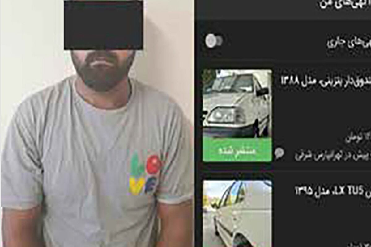 موش «دیوار» در تله پلیس مشهد