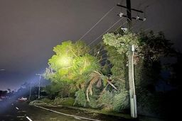 توفان دیروز در تهران ۱۴۰ مورد حادثه آفرید