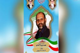 آزارگر دختر تهرانی قاتل یک بسیجی بود/ پوریا احمدی در ناآرامی های تهران شهید شد