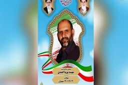 آزارگر دختر تهرانی قاتل یک بسیجی بود/ پوریا احمدی در ناآرامی های تهران شهید شد