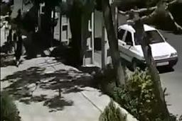 حمله وحشیانه موبایل قاپ به دختر جوان در عظیمیه/ ویدیو