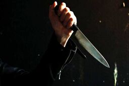 قتل مرد همسایه با 11 ضربه چاقو