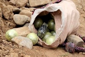 کشف ۷ کوله حاوی مواد مخدر در مرز تایباد