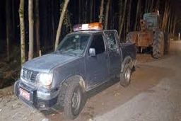 لحظه تیراندازی قاچاقچیان چوب به ماموران منابع طبیعی نور/ ویدئو