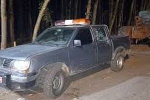 لحظه تیراندازی قاچاقچیان چوب به ماموران منابع طبیعی نور/ ویدئو