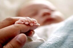 ثبت بیش از ۱۶۸ هزار تولد و ۷۱ هزار فوتی در دو ماهه نخست امسال/ این استان در صدر ولادت و فوتی