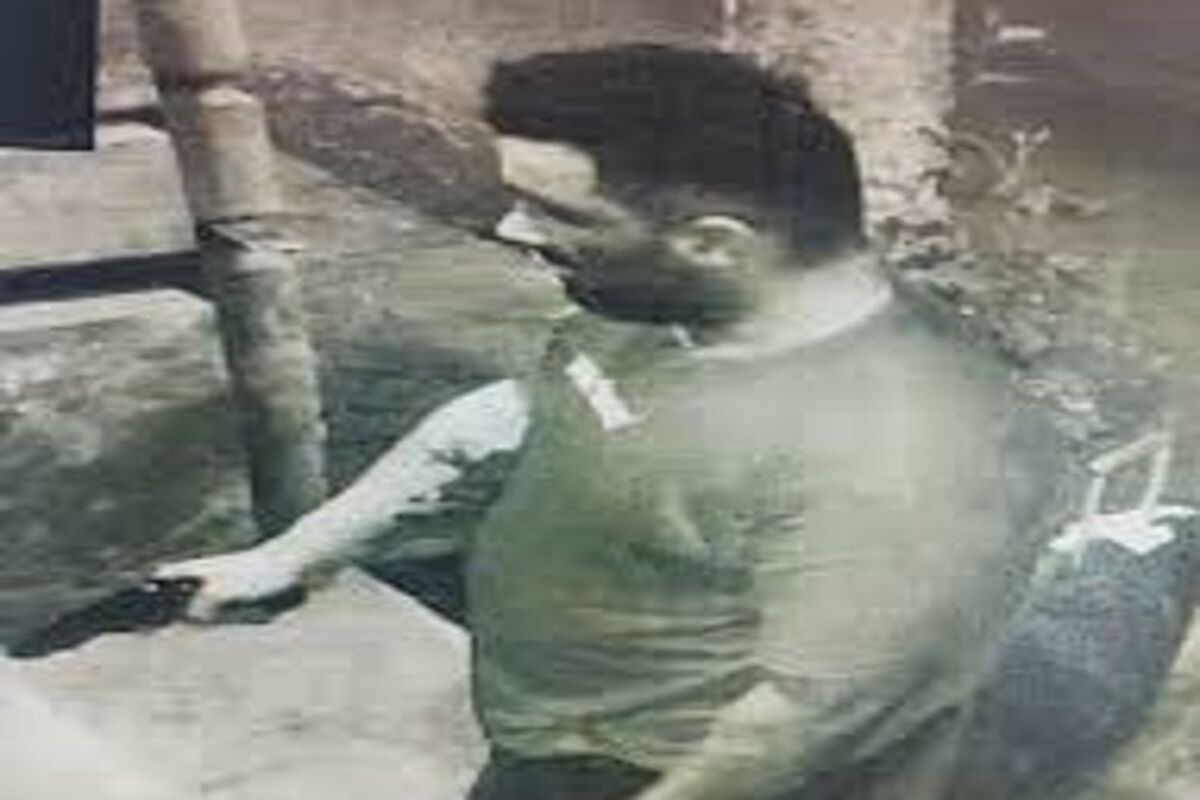 سرقت مسلحانه از زن مسافر در شمال تهران/ ویدئو