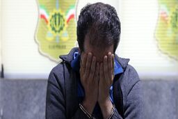 این آقای وکیل هفت تیر کش بود؟/ ویدئو