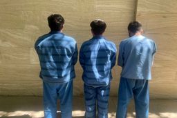 پلیس: سارقان مجتمع مسکونی اساتید در غرب تهران دستگیر شدند